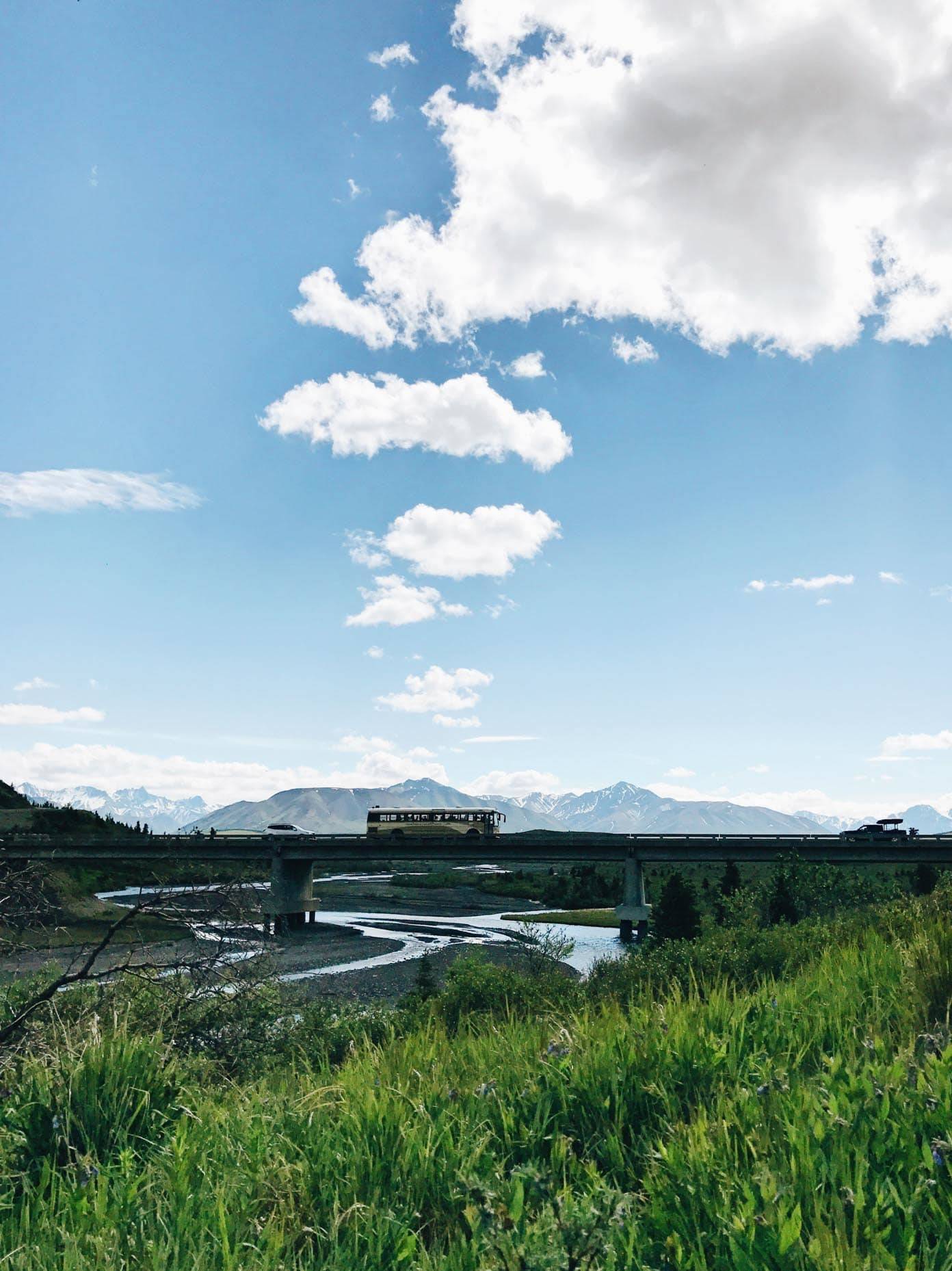 View of grasses, mountains, and the sky.