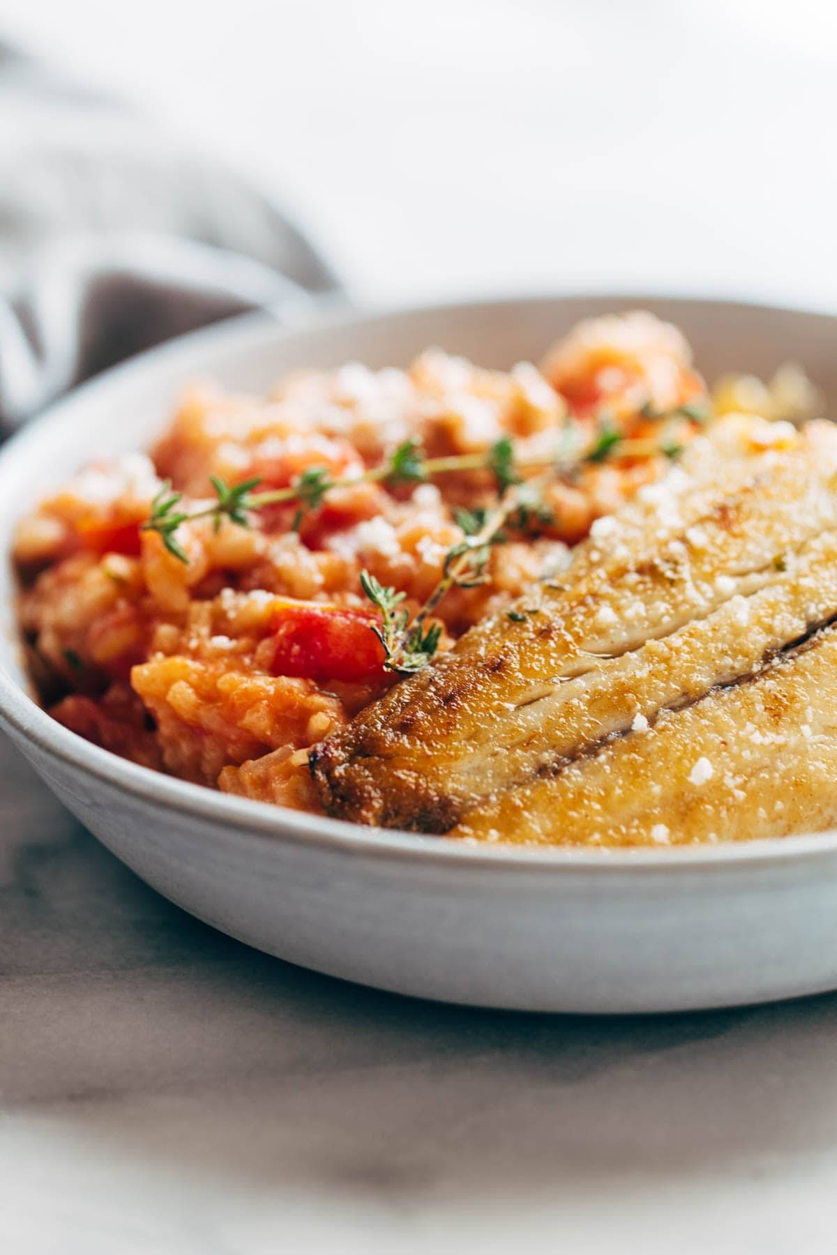 Creamy Tomato Risotto with Pan Fried Barramundi in a bowl