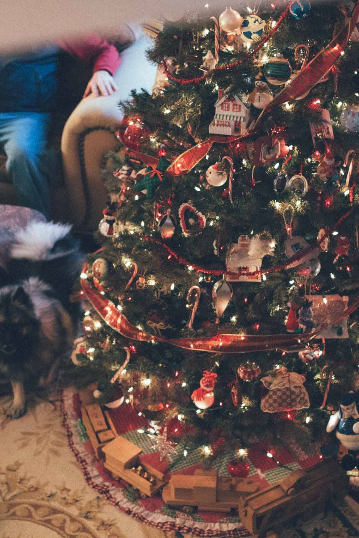 Christmas Tree with ornaments and lights.