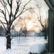 Trees outside in the snow, bare of any leaves.