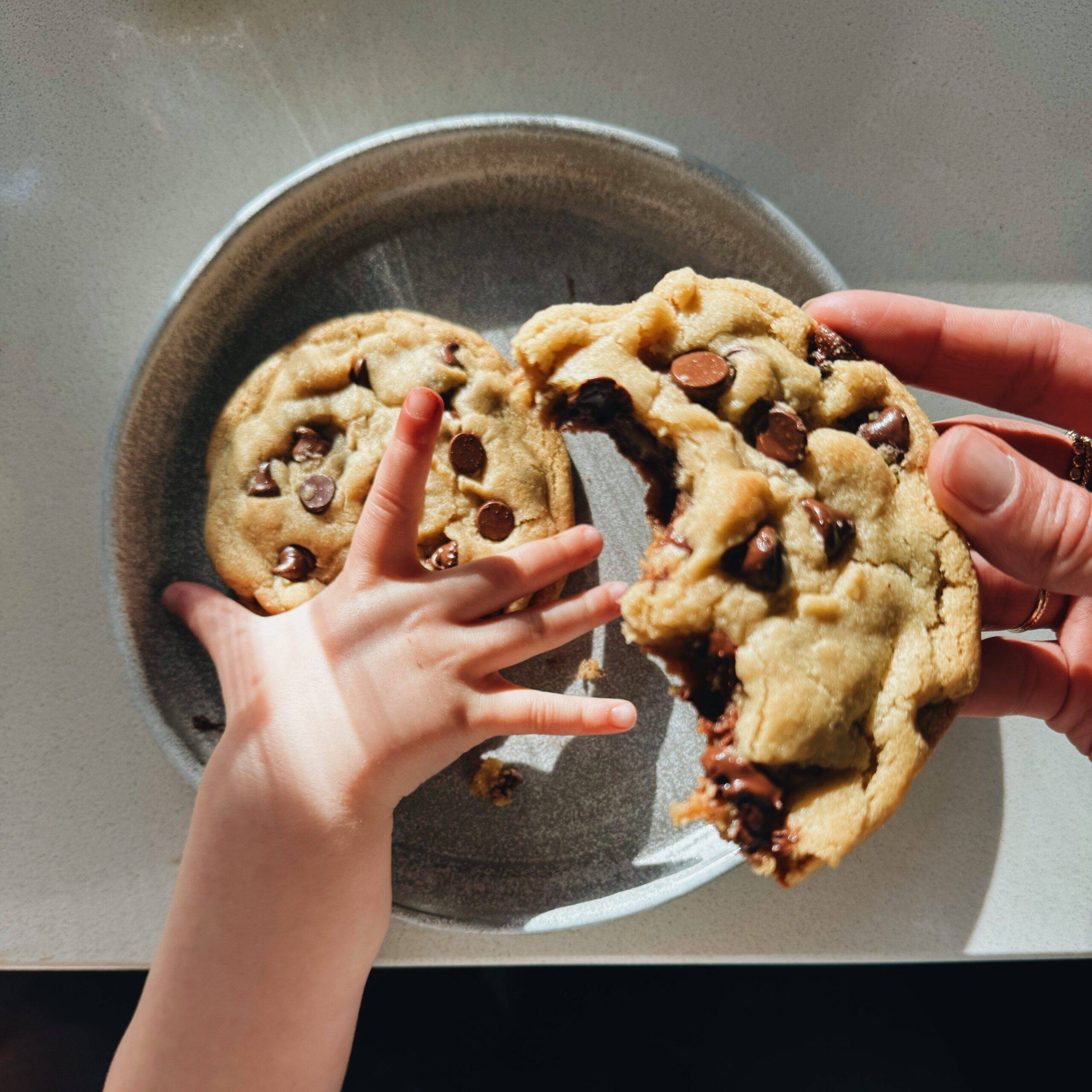 Two hands eating chocolate chip cookies.