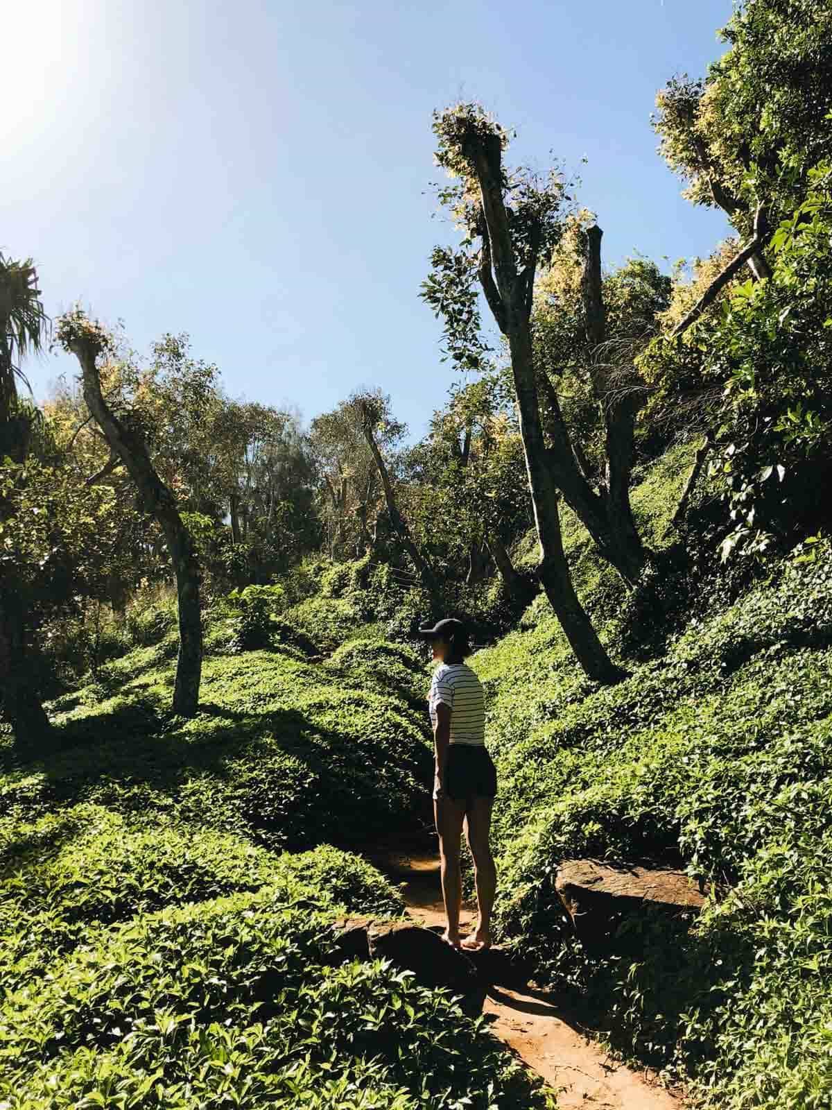 Woman on a trail.