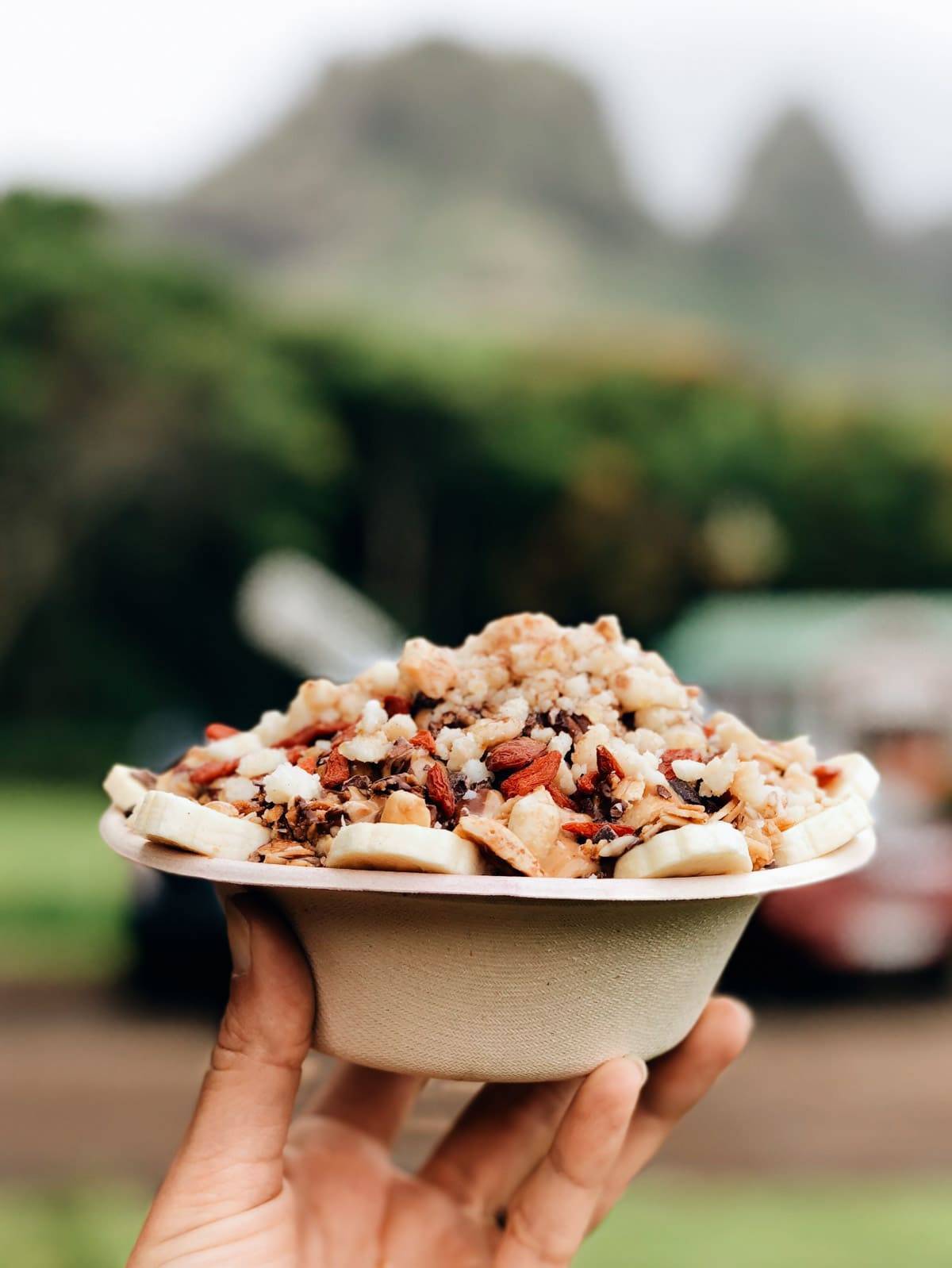 Bowl of fruit and granola.