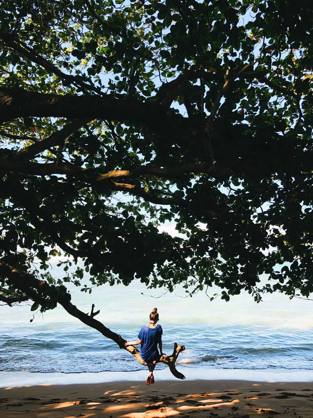 Woman sitting on a tree on the beach.