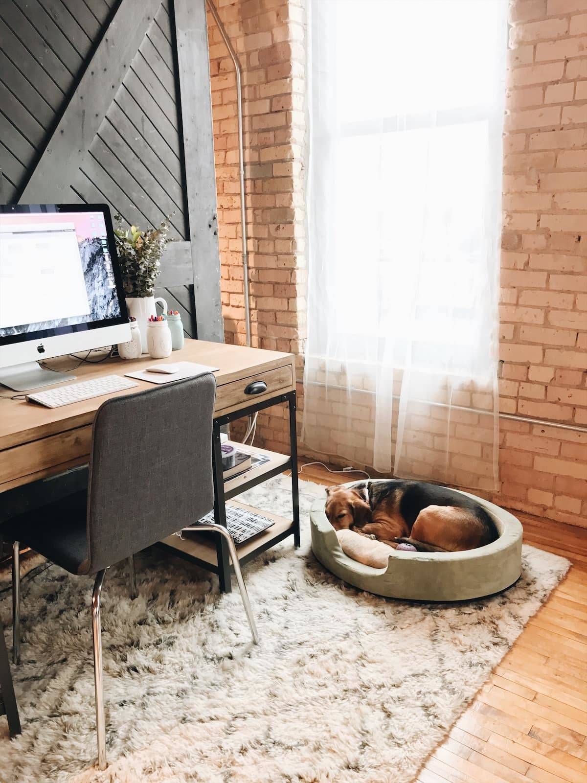 A dog sleeps in a dog bed near a computer desk and a window.