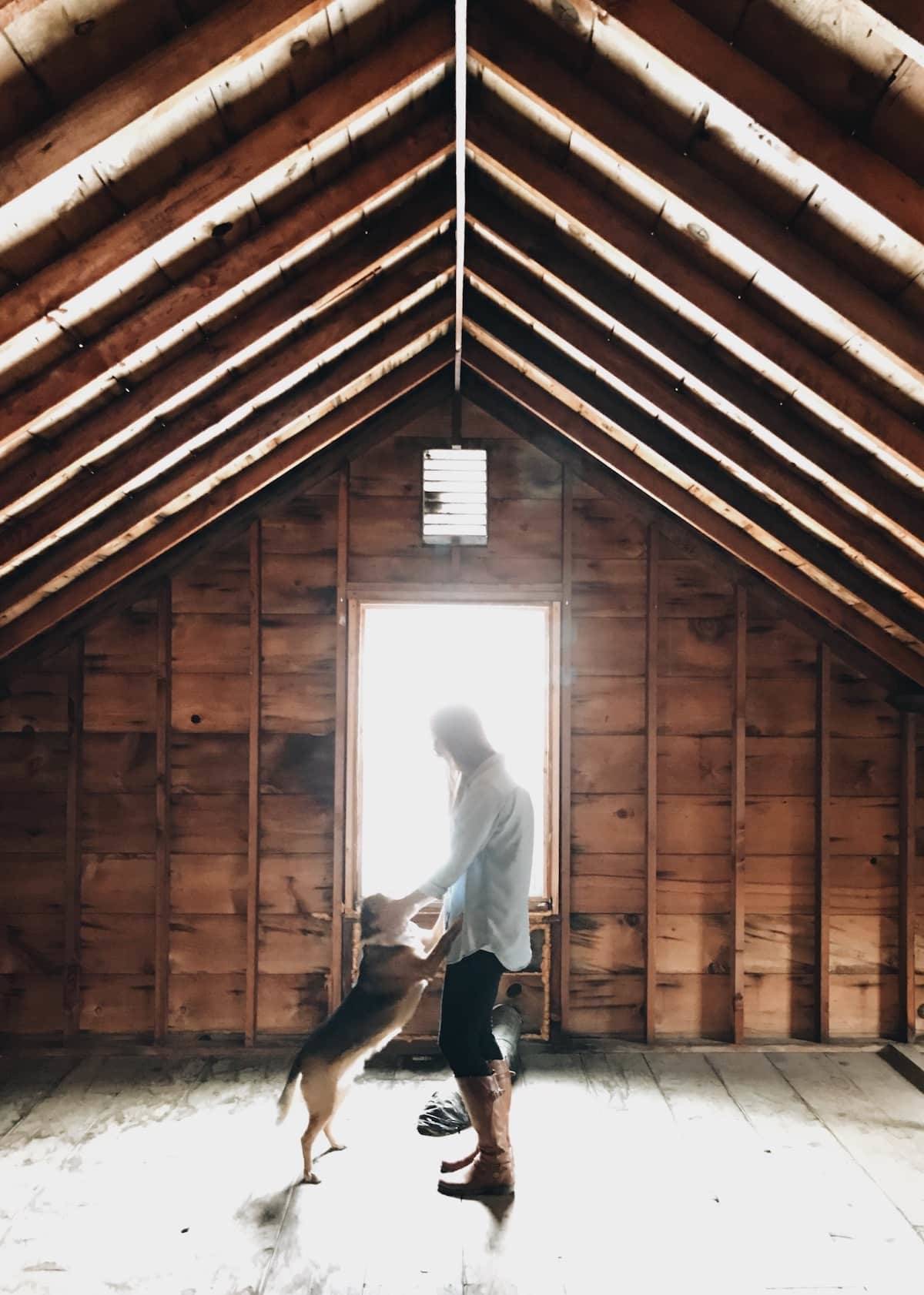 A man and a dog standing near a window of an attic.