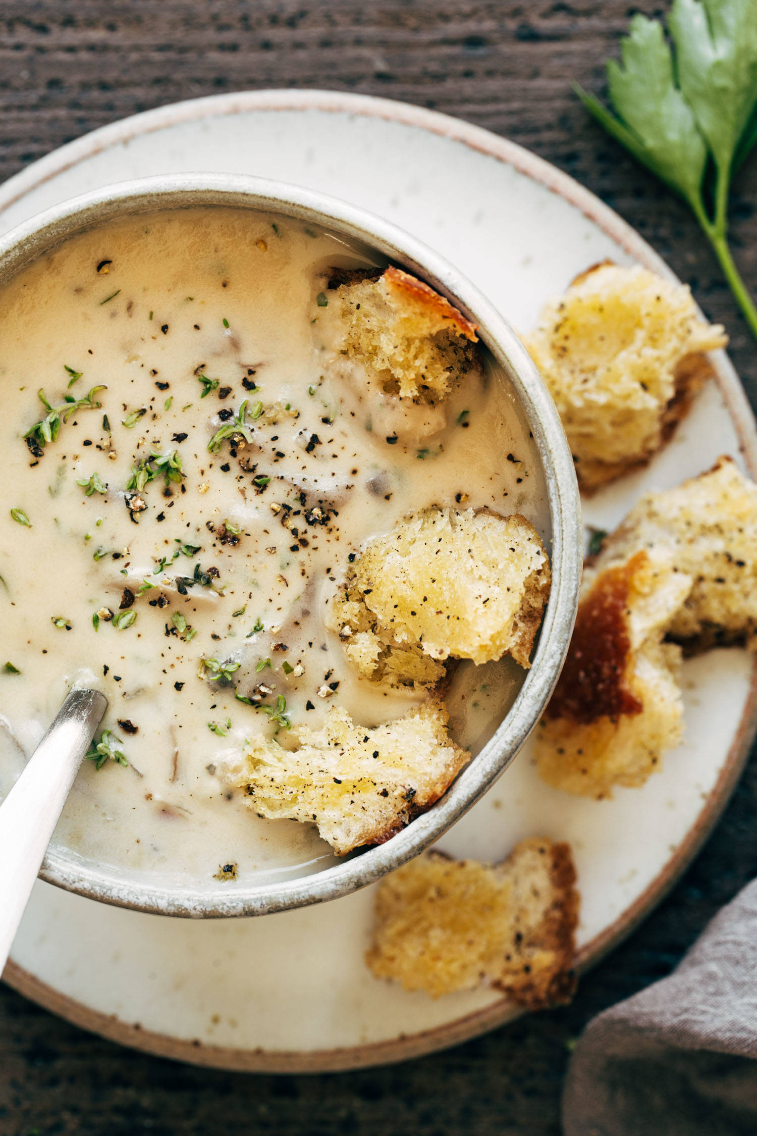 Mushroom soup in a bowl with croutons.