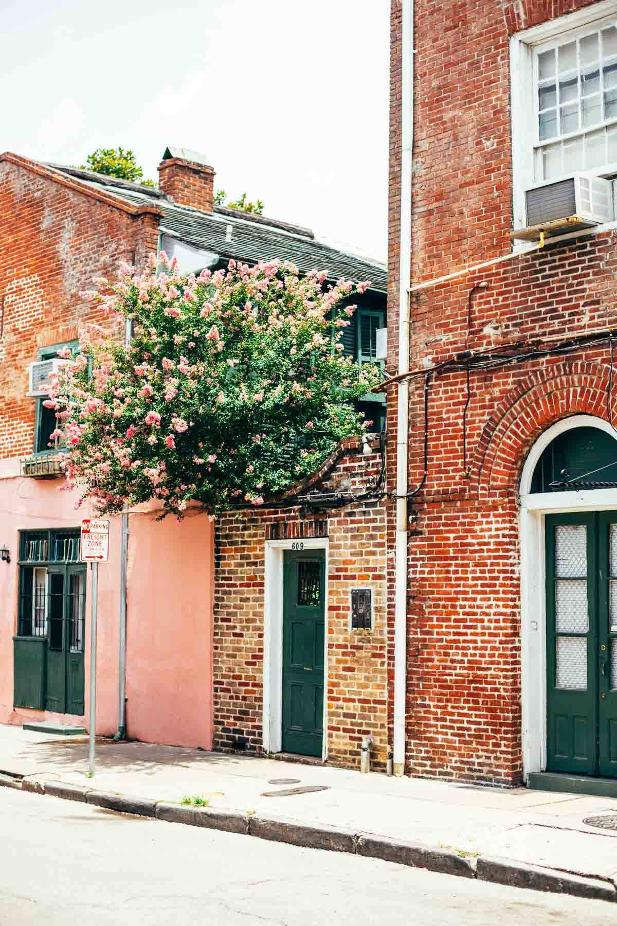 New Orleans | pinchofyum.com