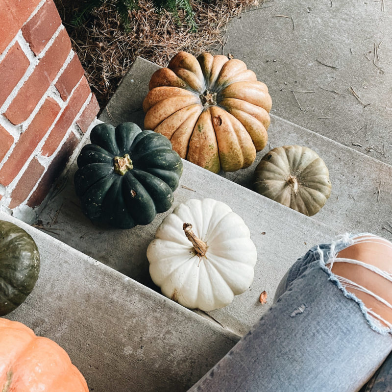 Lindsay sitting on a step with pumpkins.