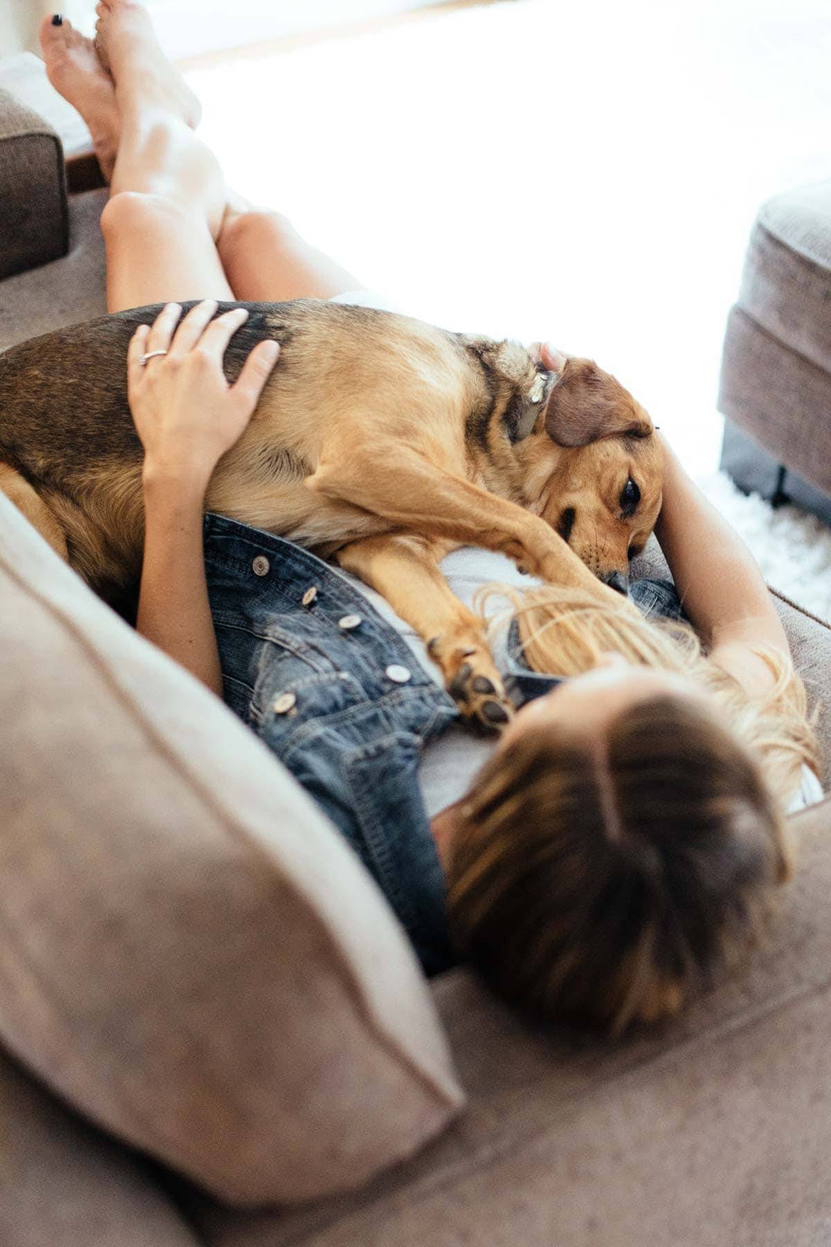 Dog laying on a woman on a couch.