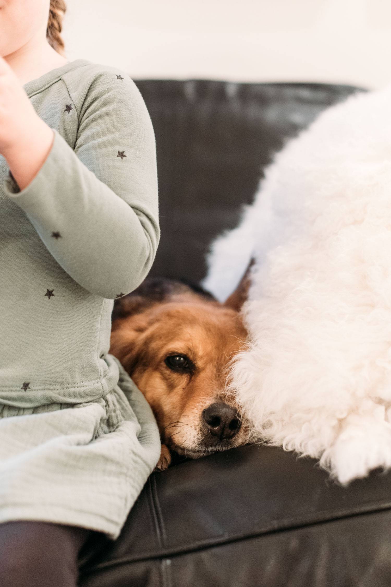 Girl and dog on a couch