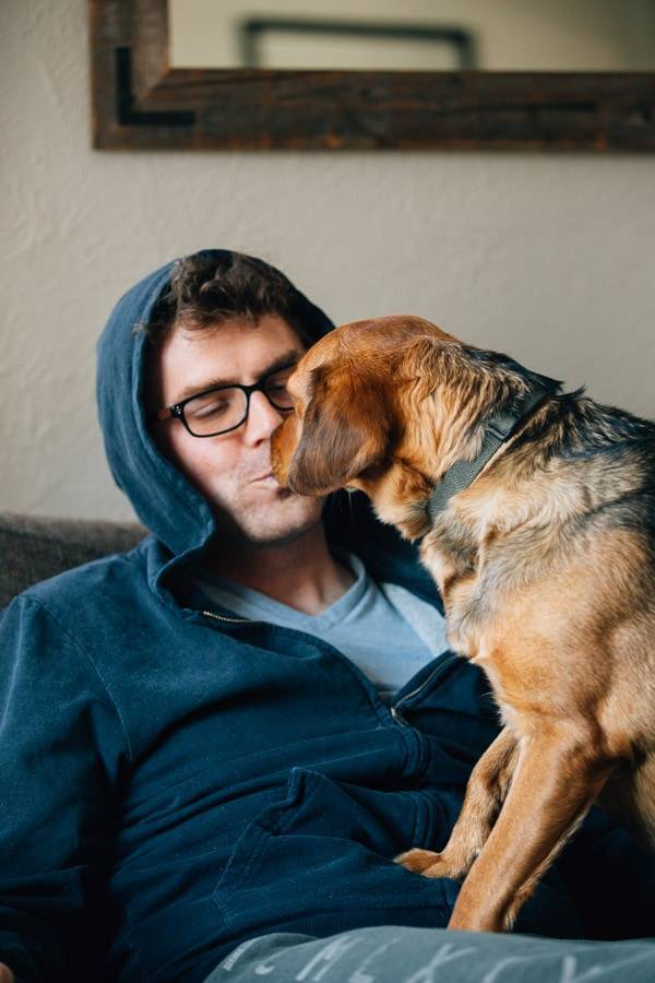 Dog kissing a man.