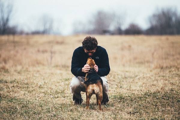 Dog and man looking at each other.