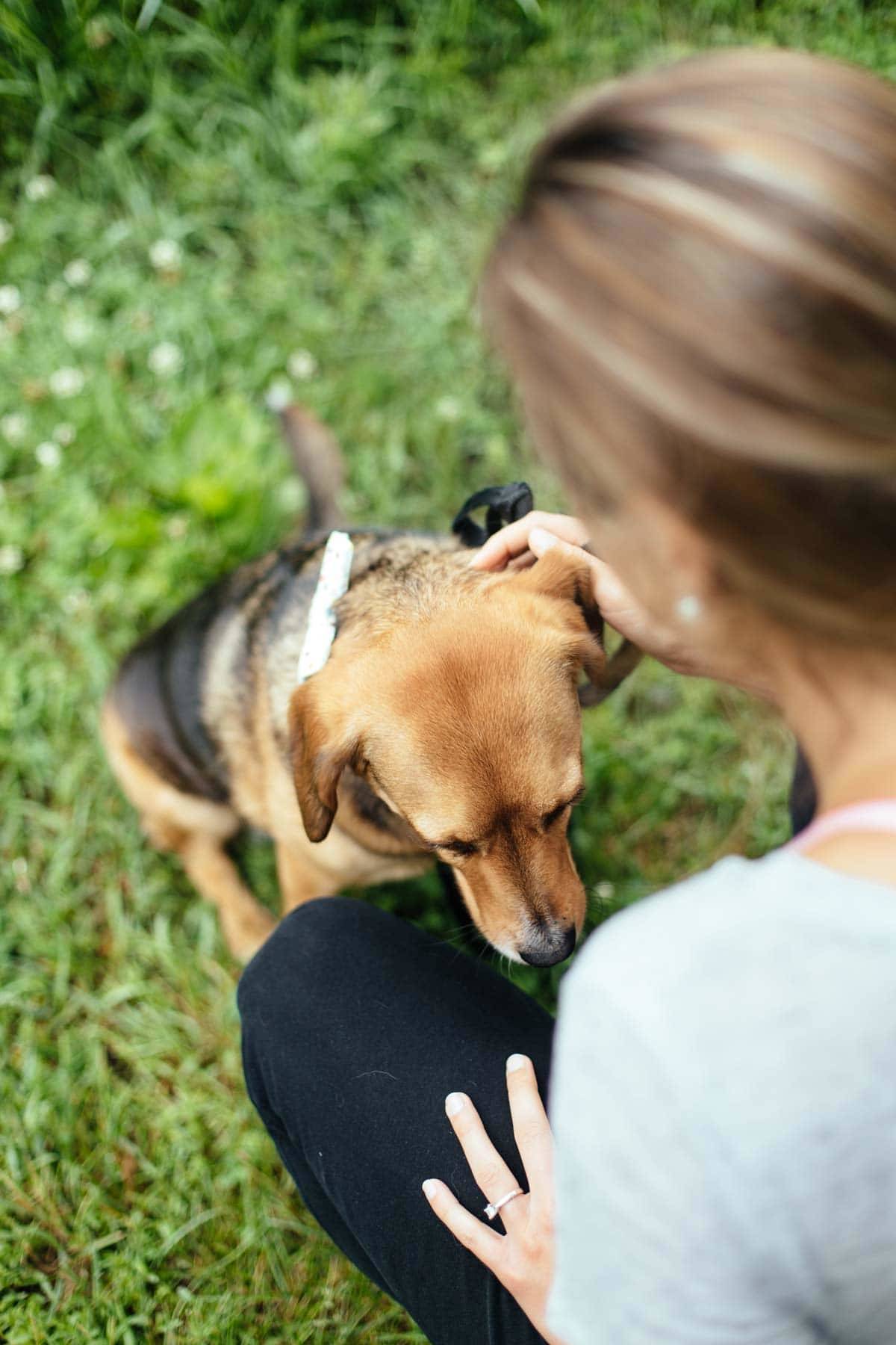 Woman petting a dog on the grass.