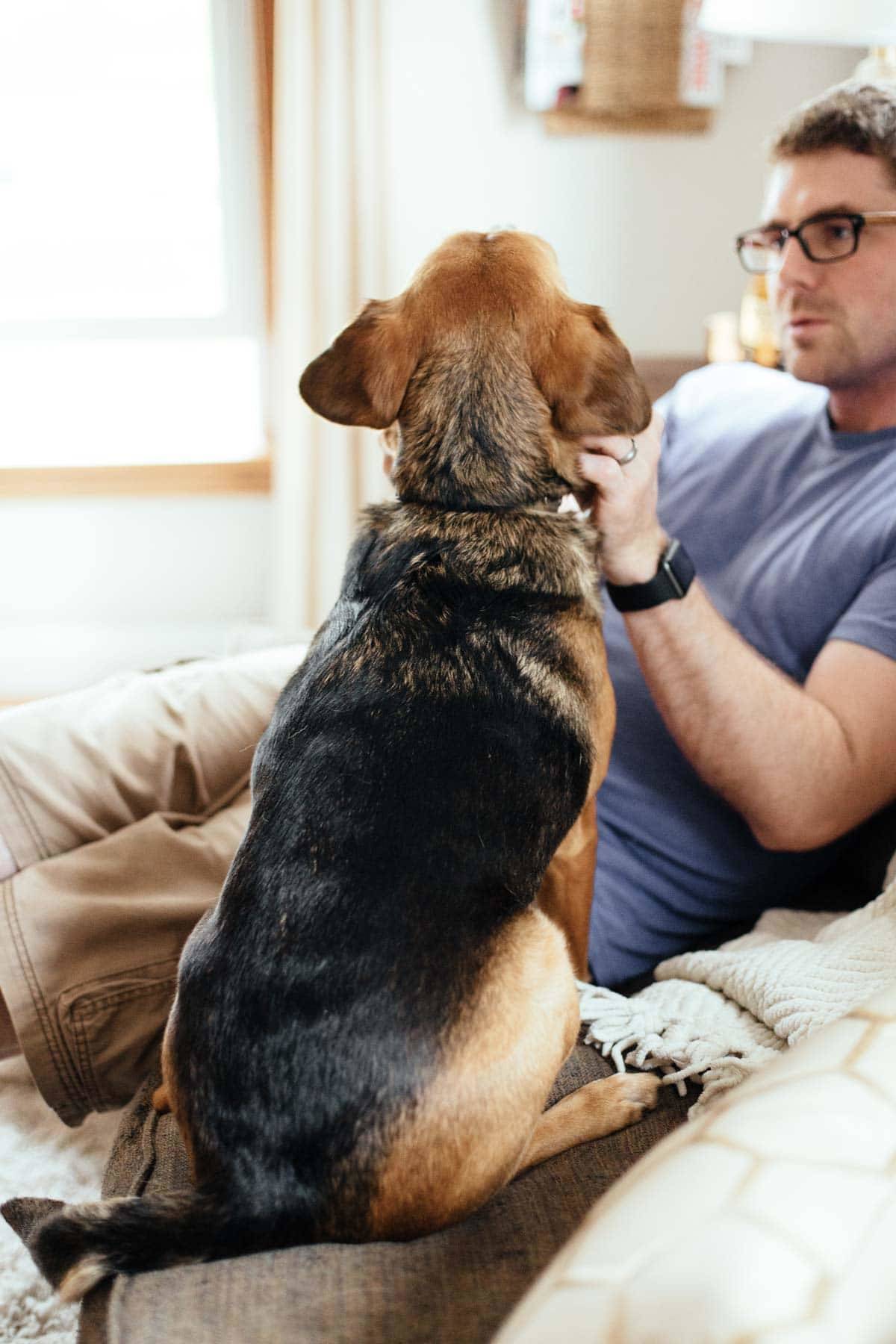 Dog playing with a man on a couch.