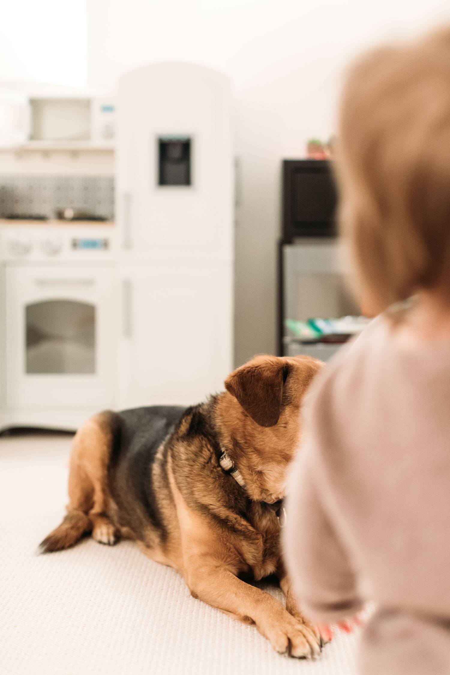 Dog laying down with toddler