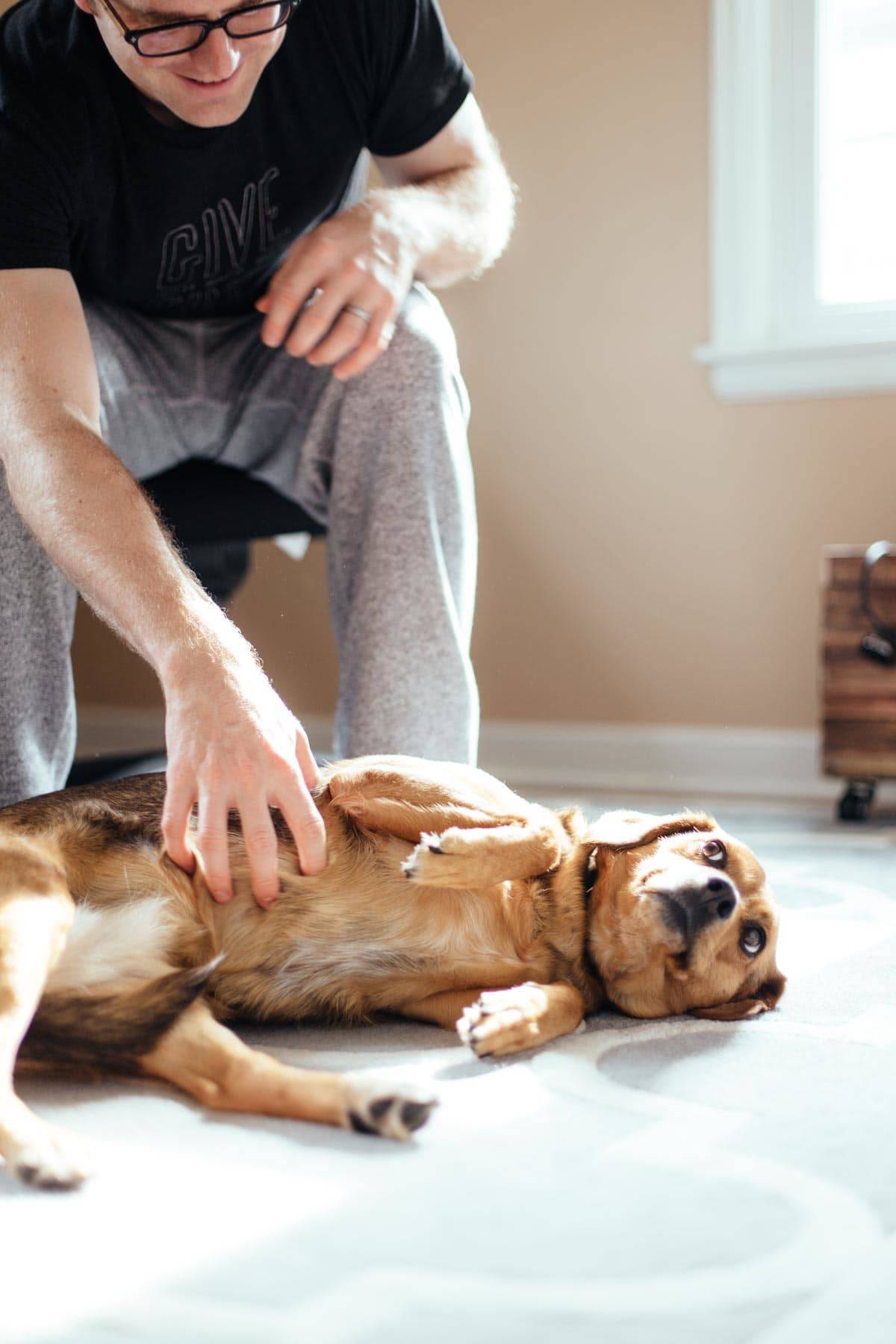 Man scratching a dog.