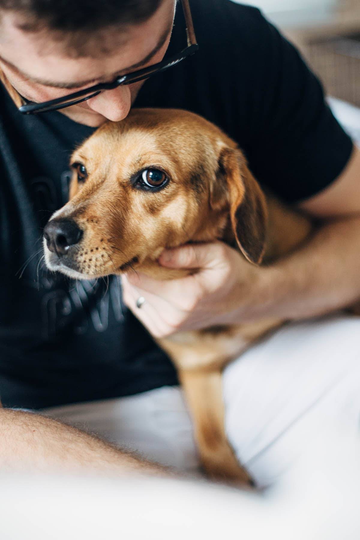 Man kissing a dog.