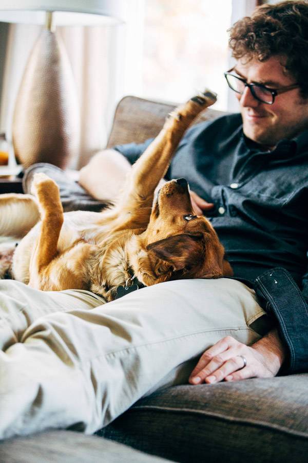 Dog sitting on a man's lap.