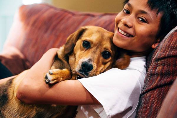 Dog laying on a boy.