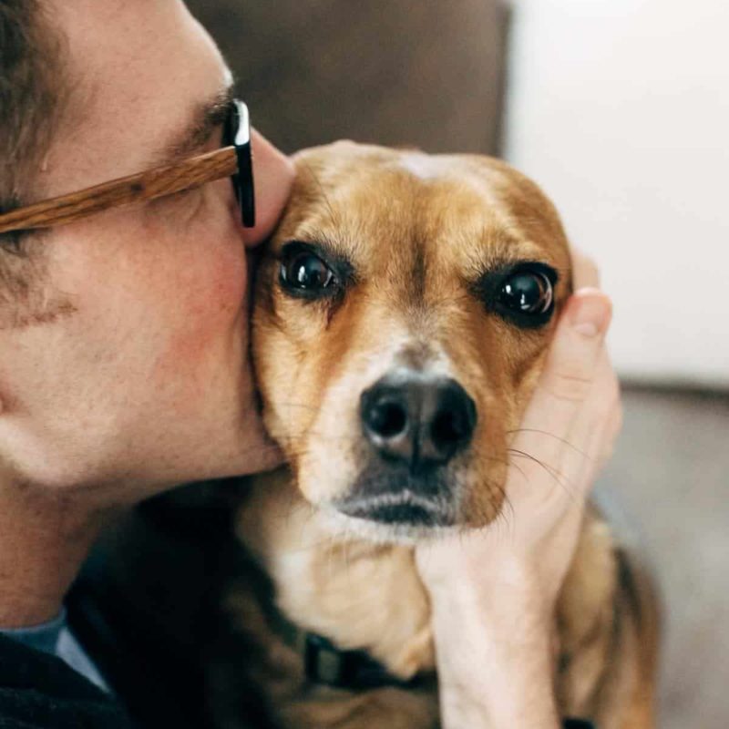 Bjork kissing Sage's head.