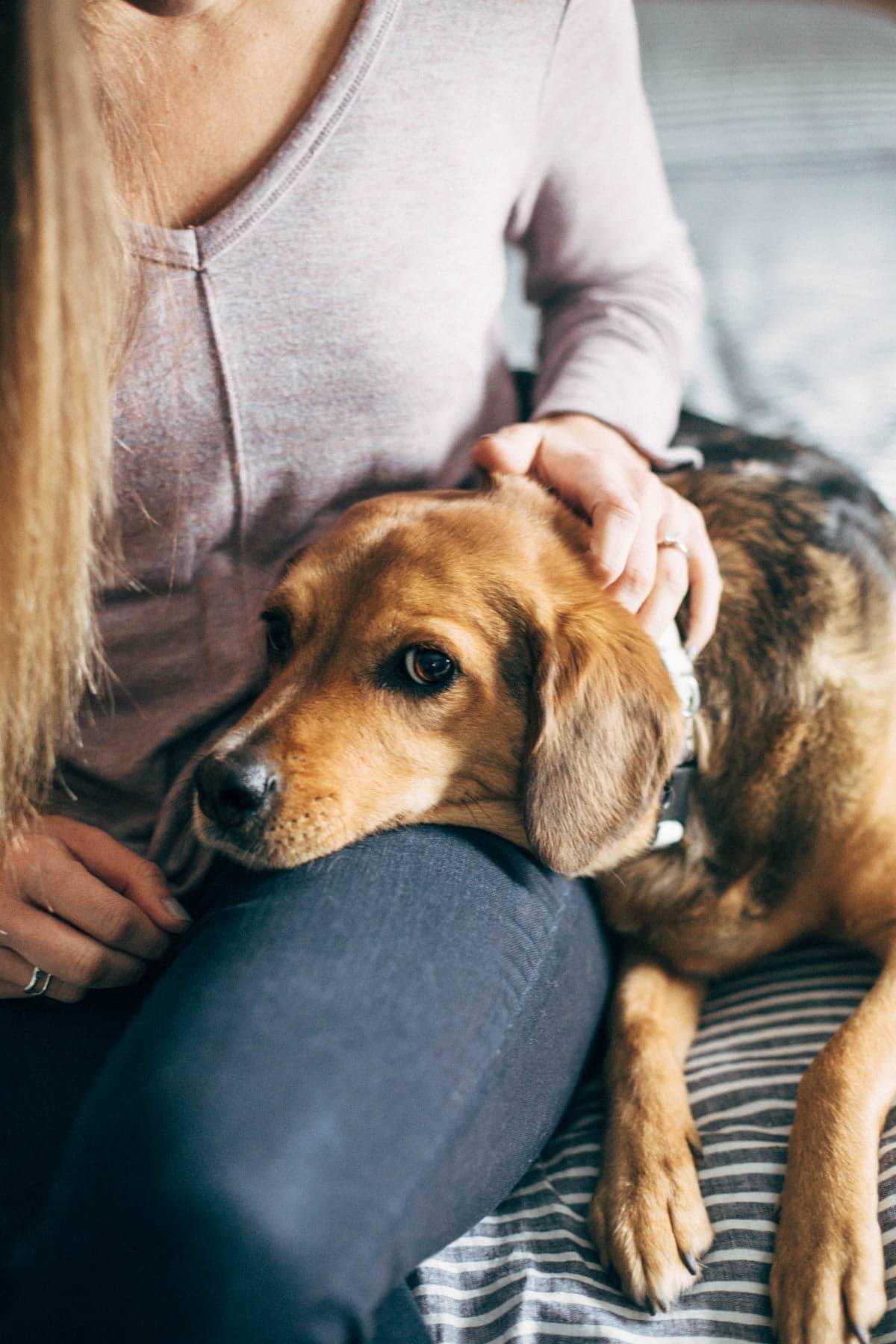 A woman and a brown dog sit next to each other.