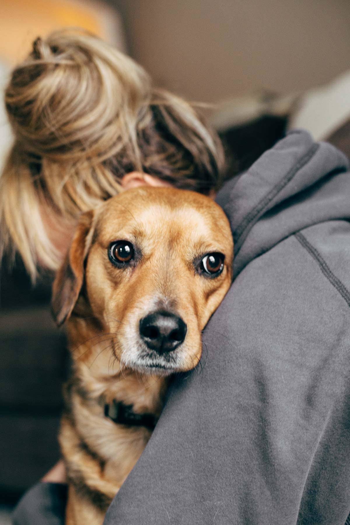 Woman hugging a dog.