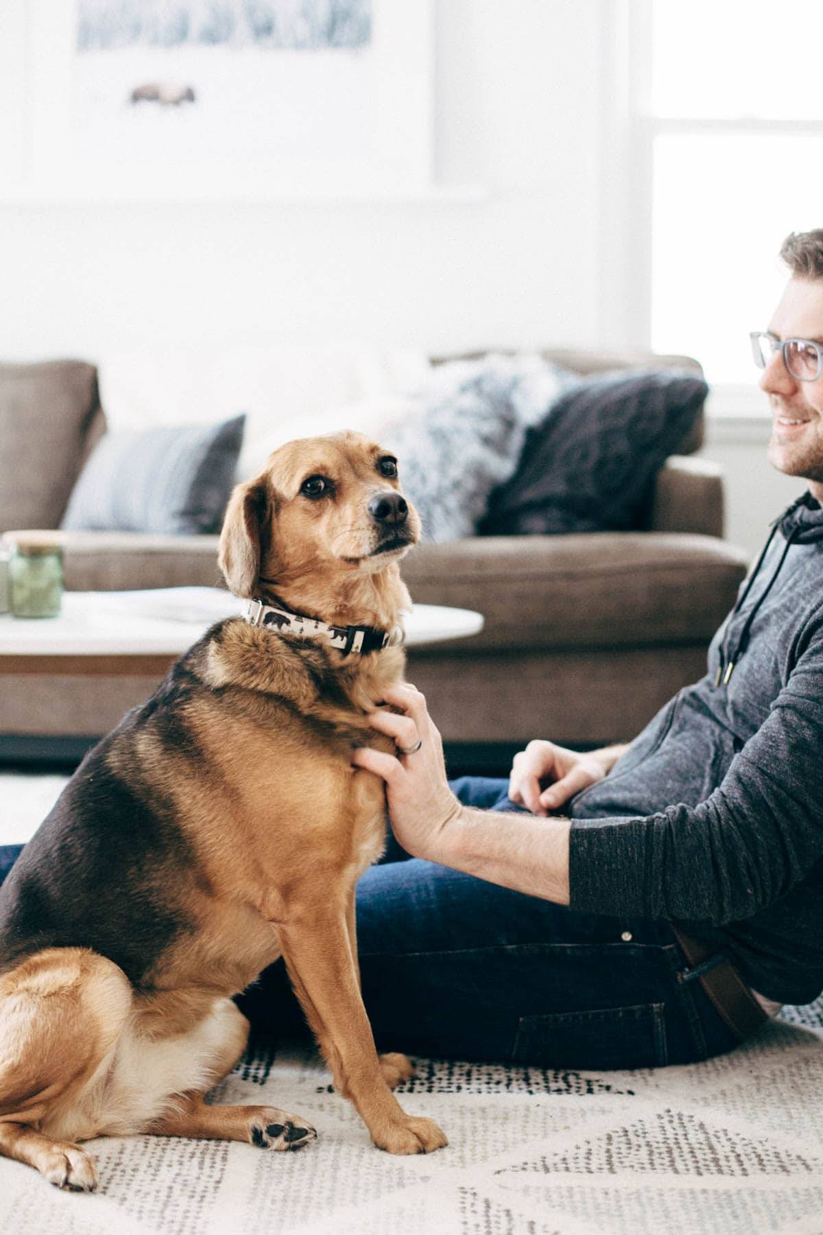 A man sitting with a brown dog on the floor.