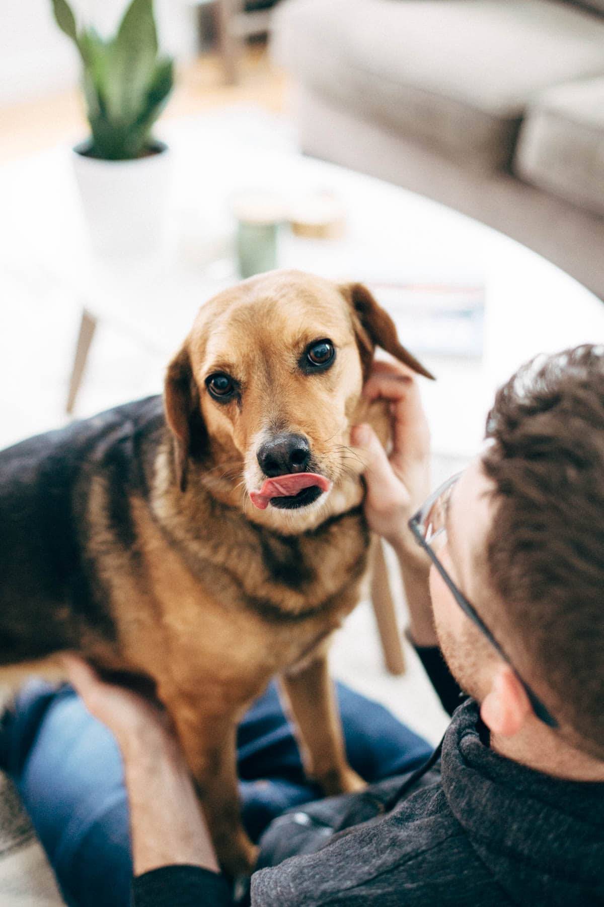 A man sitting and holding a dog in his lap while the dog is holding his tongue outside his mouth and looking at the camera.