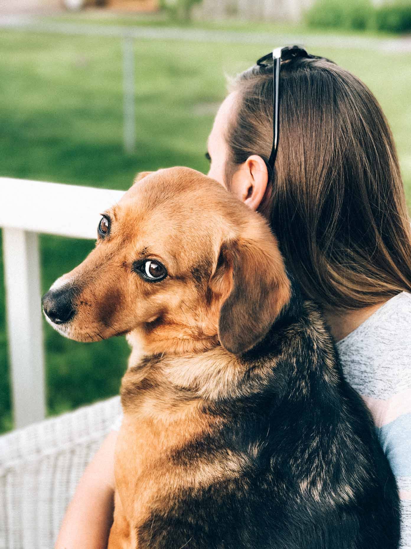 A woman and a brown dog sit outside.