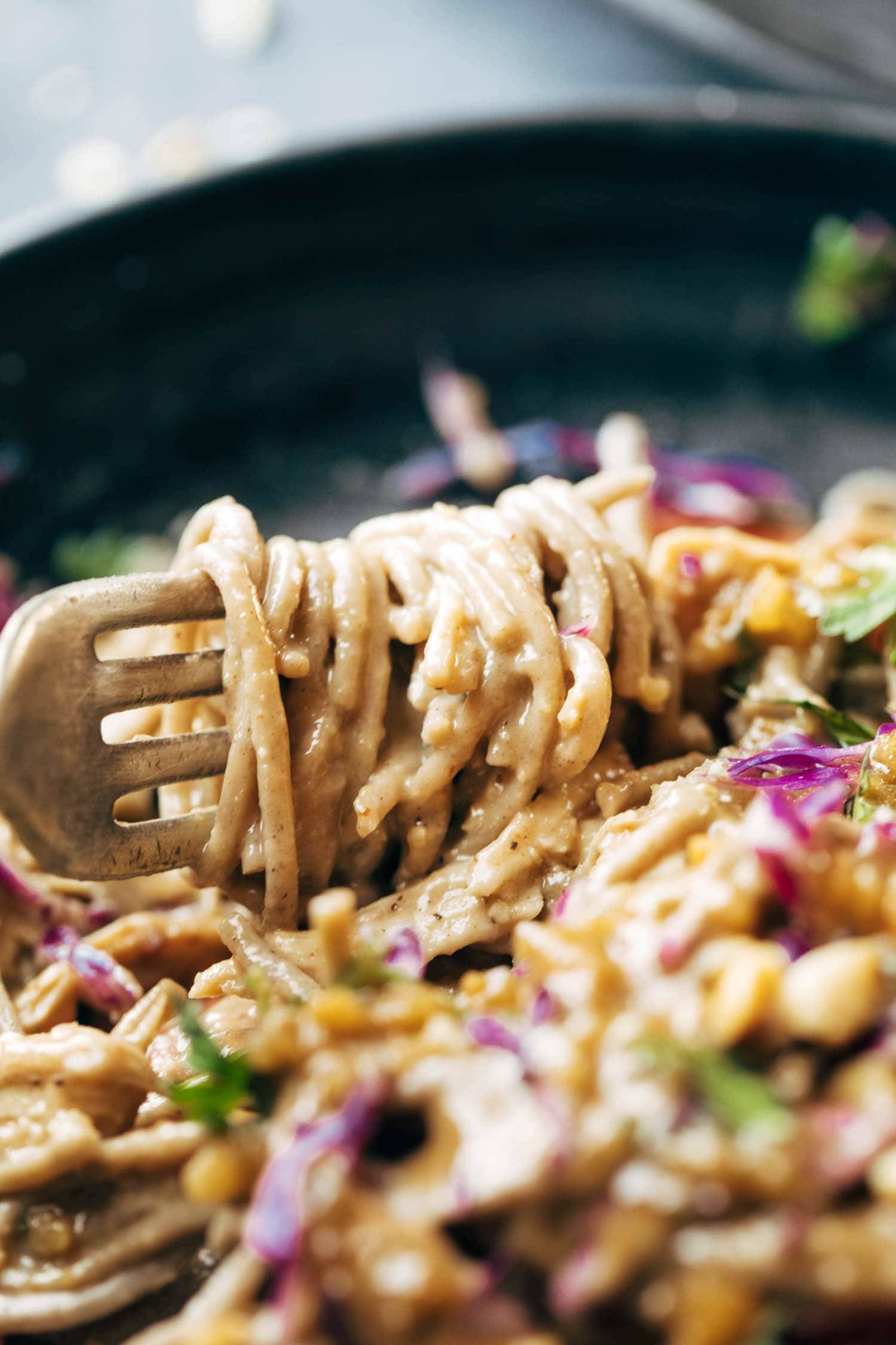 Spicy Peanut Soba Noodle Salad wrapped around a fork.