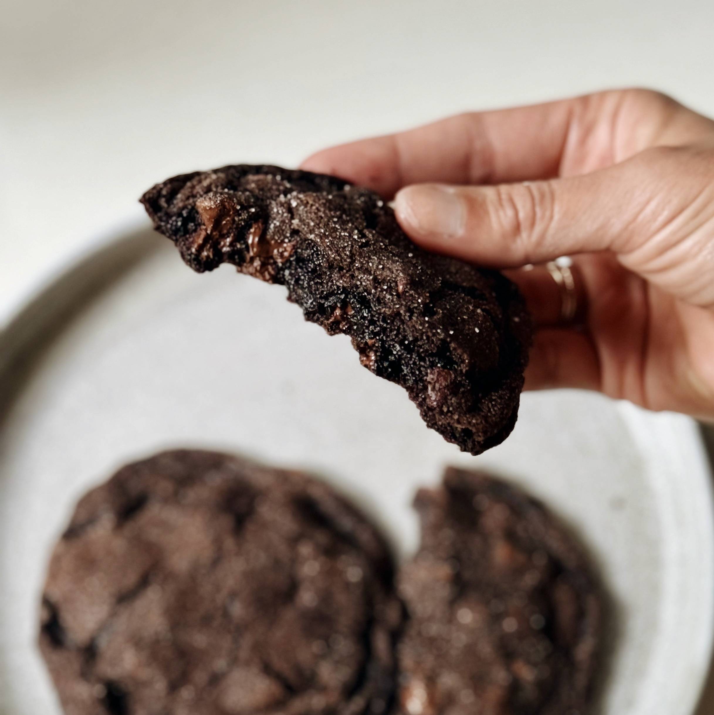 Hand holding a chocolate cookie.