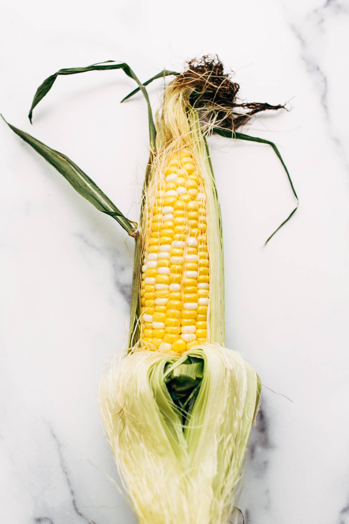 Ear of corn with husks and silk pulled back.